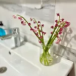Tas Gonca *