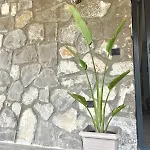 Tas Gonca Villa Fethiye