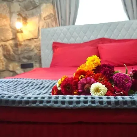 Tas Gonca Vilă Fethiye