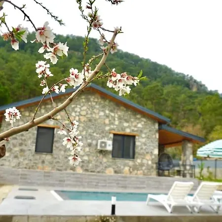 Tas Gonca Villa *