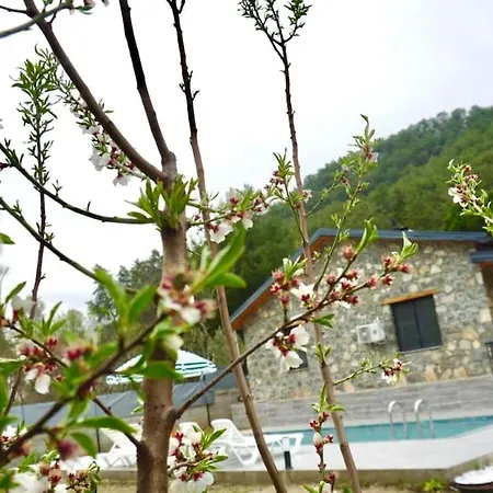 Tas Gonca Villa