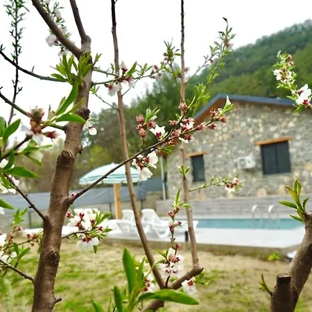 Villa Tas Gonca