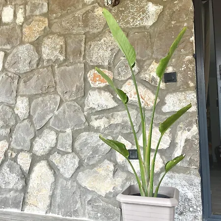 Tas Gonca Villa Fethiye