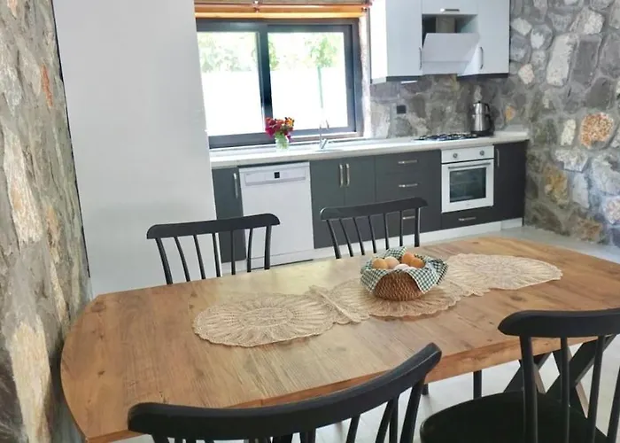 Tas Gonca فتحية