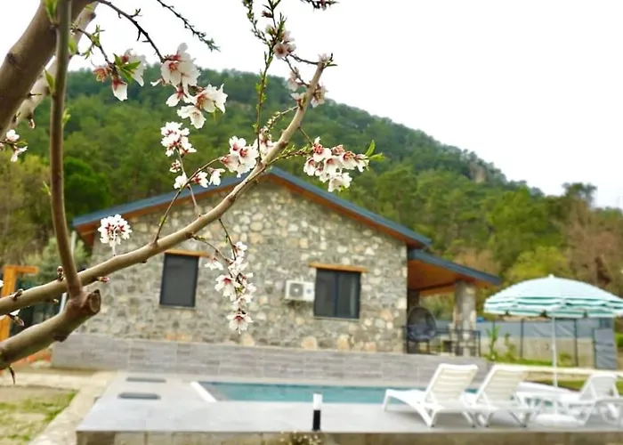 Tas Gonca فيلة *