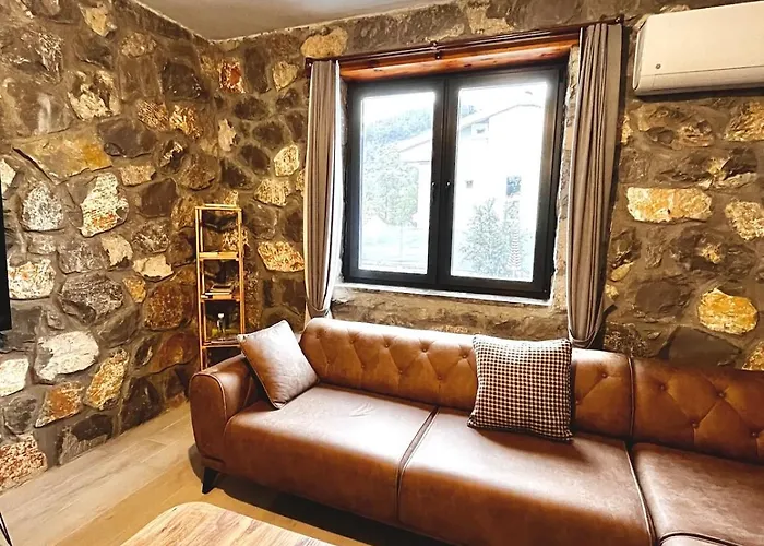 Tas Gonca فيلة *