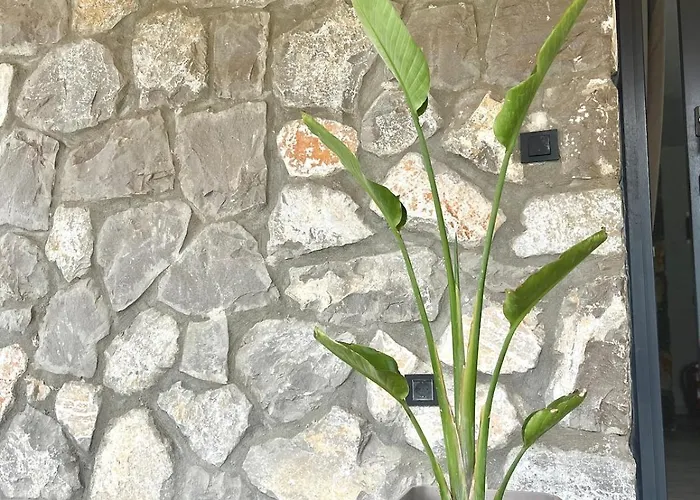 Tas Gonca Vila Fethiye